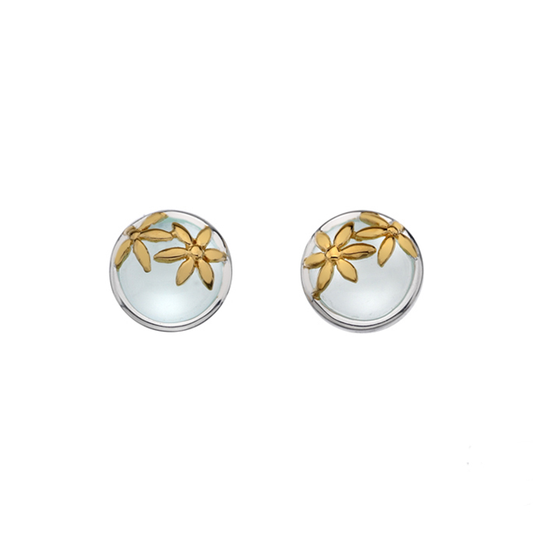 Rae's Silver Aqua Chalcedony Earrings w/ Gold Detail